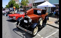 DSC_0808.jpg