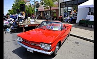 DSC_0810.jpg