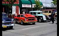 DSC_0811.jpg