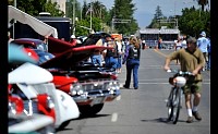 DSC_0833.jpg