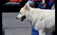 DSC_0857.jpg