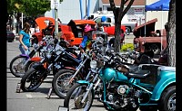 DSC_0873.jpg