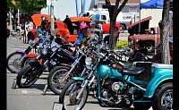 DSC_0874.jpg