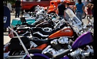 DSC_0893.jpg