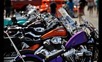 DSC_0894.jpg