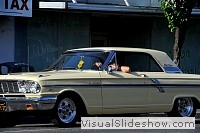tn_DSC_7480_jpg