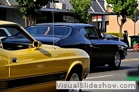 tn_DSC_7501_jpg