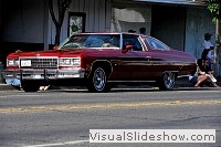 tn_DSC_7518_jpg