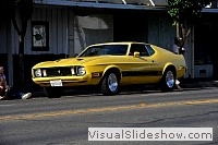 tn_DSC_7595_jpg