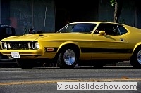 tn_DSC_7596_jpg