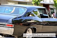 tn_DSC_7635_jpg