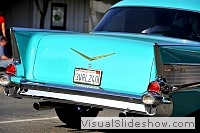 tn_DSC_7683_jpg