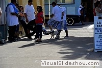 tn_DSC_7692_jpg