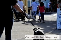 tn_DSC_7693_jpg