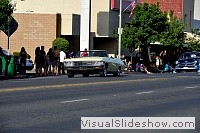 tn_DSC_7708_jpg