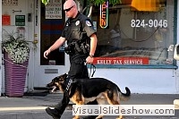 tn_DSC_7710_jpg