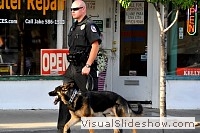 tn_DSC_7711_jpg