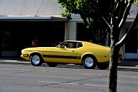 DSC_7449.jpg