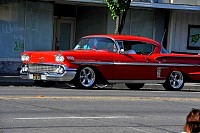 DSC_7457.jpg