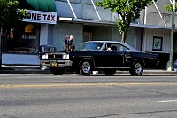 DSC_7462.jpg