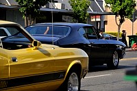 DSC_7501.jpg