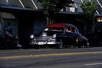DSC_7507.jpg