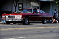 DSC_7518.jpg