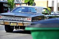 DSC_7520.jpg