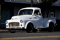 DSC_7556.jpg
