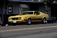 DSC_7595.jpg