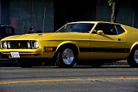 DSC_7596.jpg