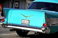DSC_7683.jpg