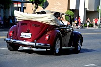 DSC_7698.jpg