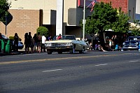 DSC_7708.jpg