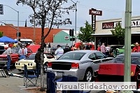 tn_DSC_7725_jpg