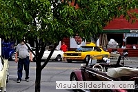tn_DSC_7730_jpg