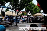tn_DSC_7735_jpg