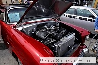 tn_DSC_7743_jpg
