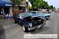 tn_DSC_7786_jpg