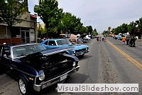 tn_DSC_7787_jpg