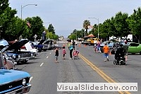 tn_DSC_7788_jpg