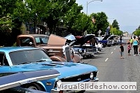 tn_DSC_7791_jpg