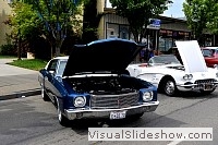 tn_DSC_7802_jpg
