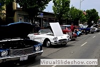 tn_DSC_7805_jpg
