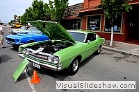 tn_DSC_7813_jpg