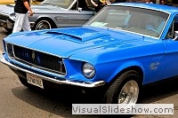 tn_DSC_7818_jpg