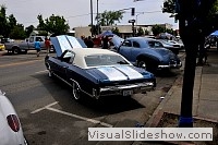 tn_DSC_7838_jpg