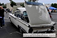 tn_DSC_7845_jpg