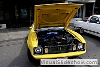 tn_DSC_7865_jpg