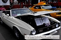 tn_DSC_7878_jpg